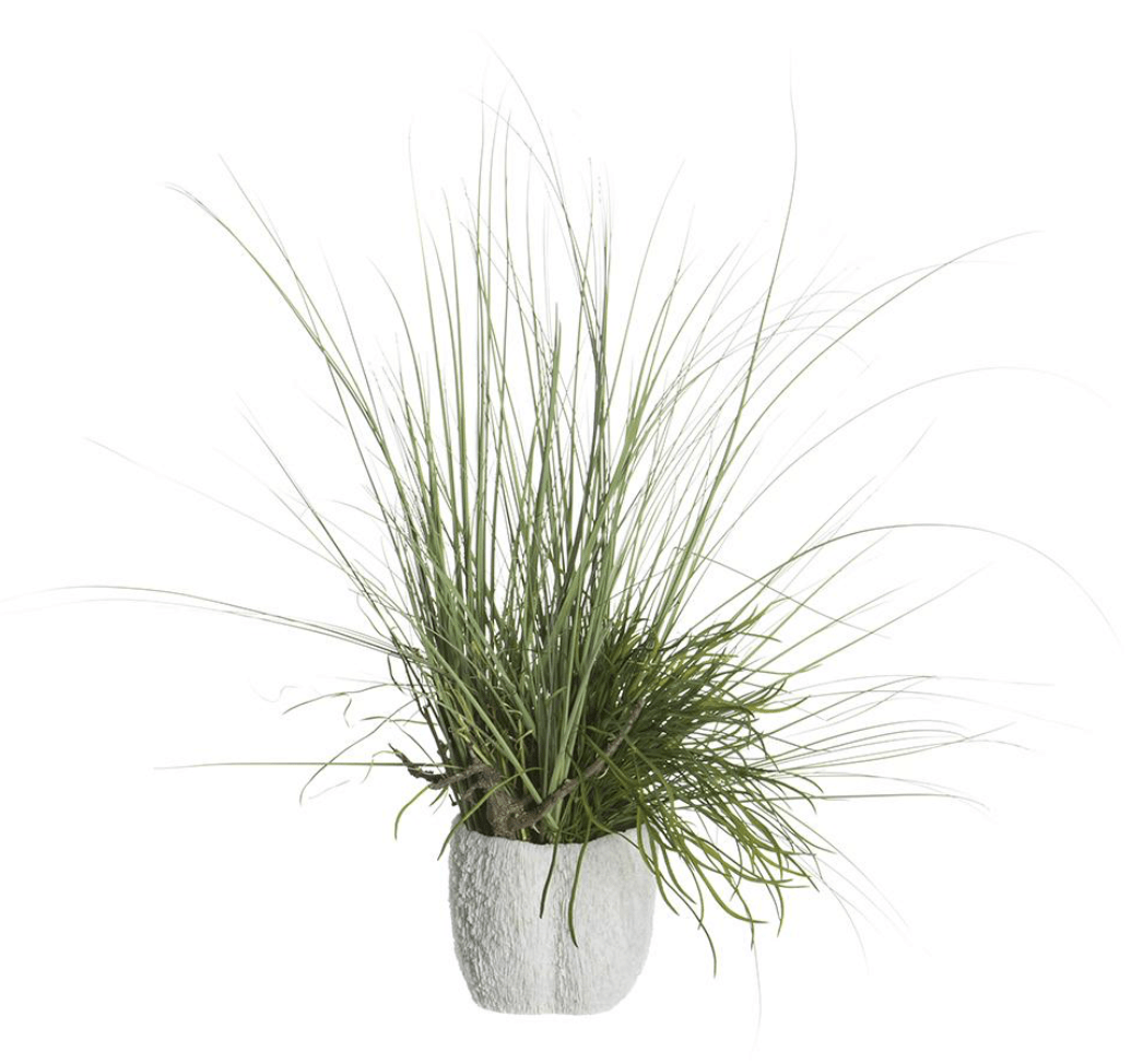 Mixed Grass/Driftwood in Coral Vase in Green Coral - tall faux mixed grass arrangement - Whats New Furniture Portland OR