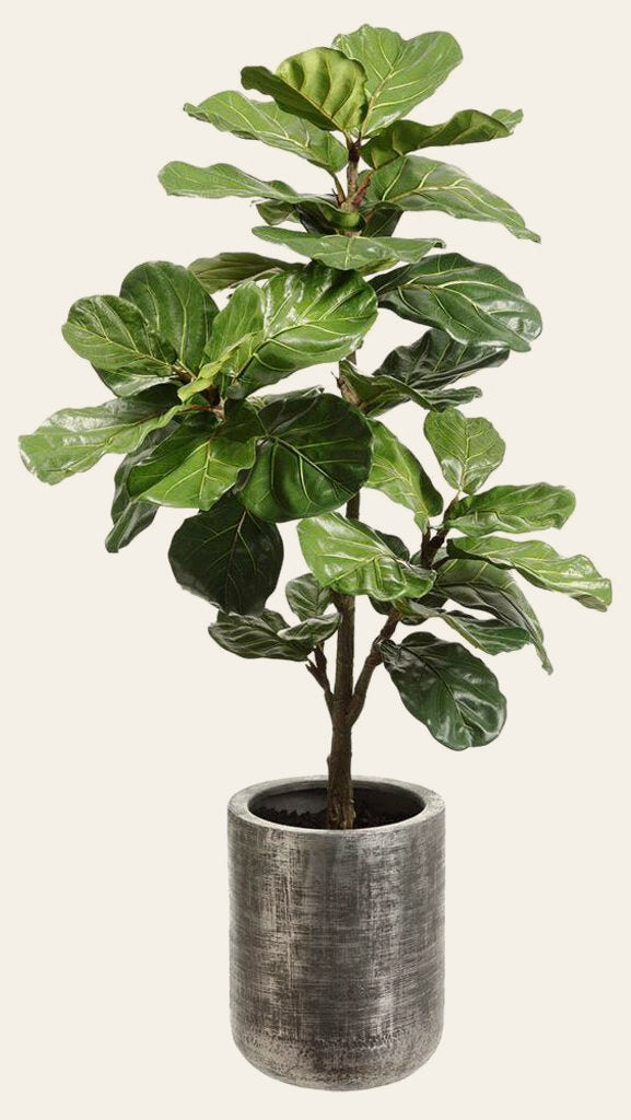 Fiddle Leaf Plant by Allstate Floral - lifelike faux potted tree - Whats New Furniture Portland OR