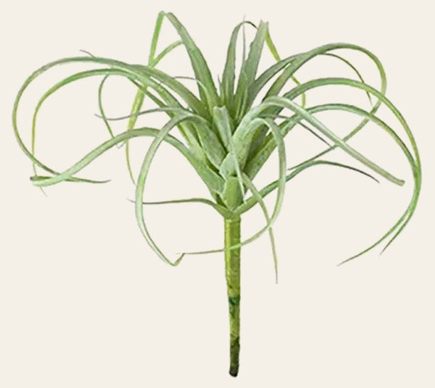 Small Artificial Air Plant - Whats New Furniture - Portland, Oregon