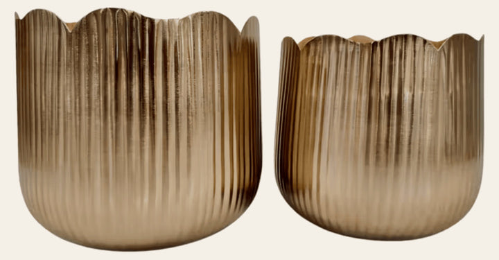 Tulip Shaped Planters front view - Whats New Furniture Portland OR