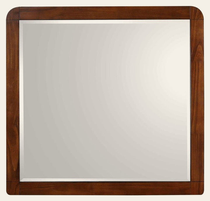 Robyn Dresser Mirror - What's New Furniture - Portland, Oregon