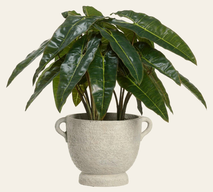 Philodendron Plant in Fiber Cement Planter in Green Fiber Cement - faux philodendron plant - Whats New Furniture Portland OR