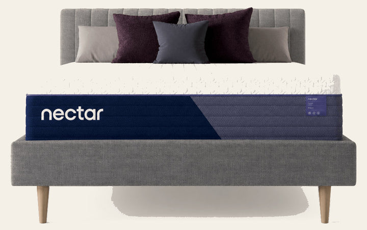 The Nectar Luxe Mattress on upholstered bed - studio - What's New Furniture Portland, Oregon