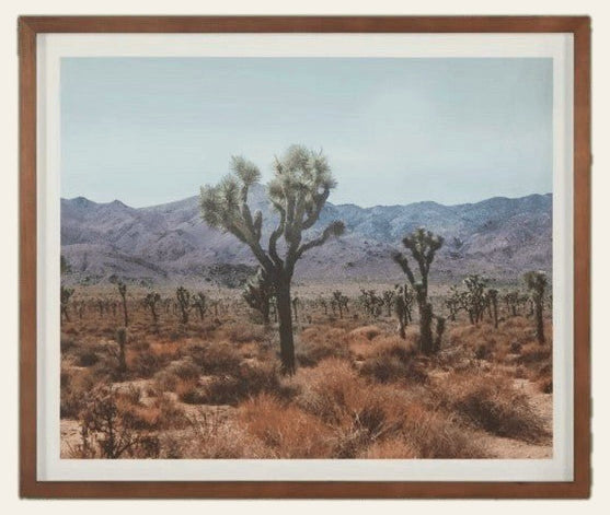 Desert Art framed print of Joshua tree desert landscape in walnut frame by Moe's - Whats New Furniture Portland OR