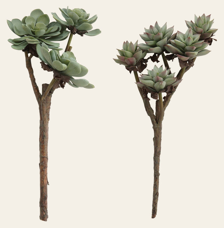 Faux Succulent Branch, 15.5-Inch — What's New Furniture Portland