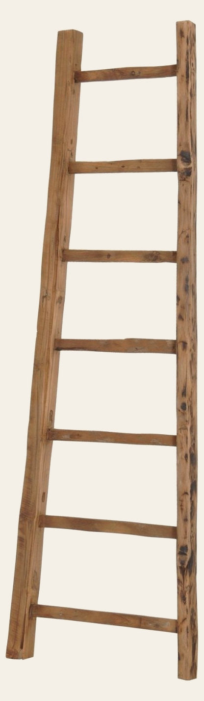 D-Bodhi Ladder - home decor by LH Imports - Whats New Furniture Portland OR