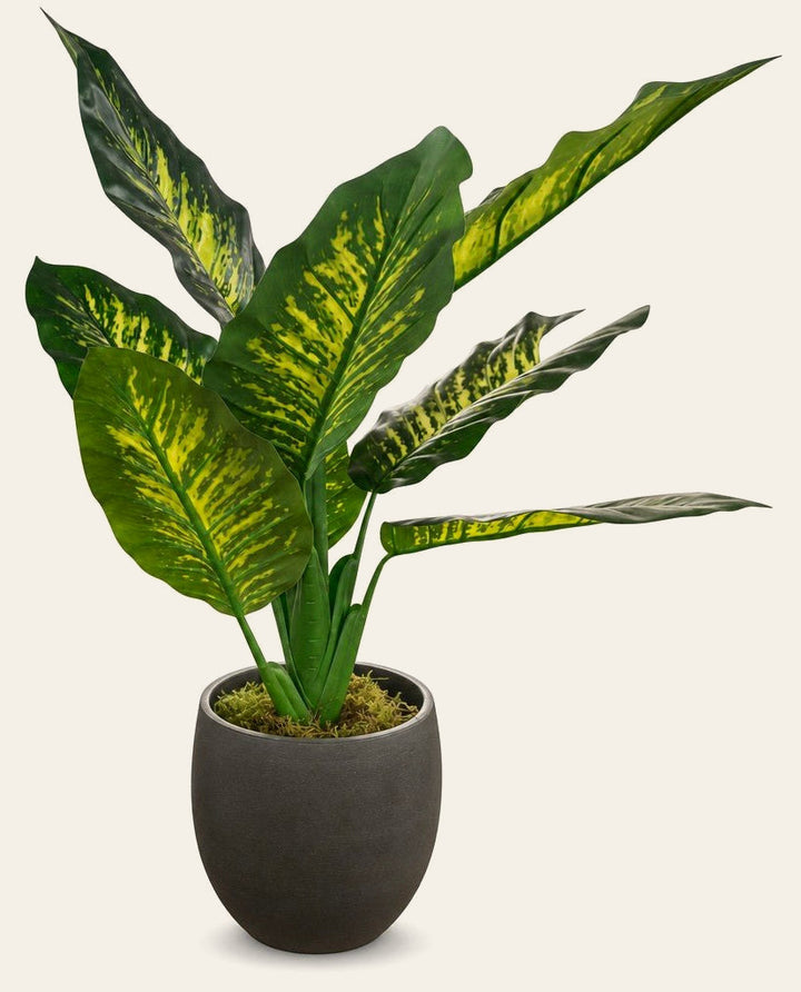 Green faux plant with full leaves in a tall glazed ceramic vase - Whats New Furniture Portland OR