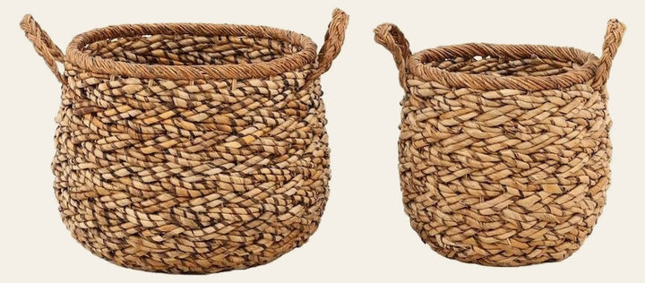 Remigio Basket Set of 2 by Dovetail - product view - Whats New Furniture Portland OR