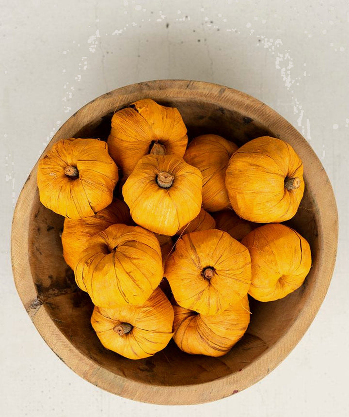 Bag of 15 Dried Miniature Faux Pumpkins on a studio background - home decor by Kalalou - Whats New Furniture Portland OR