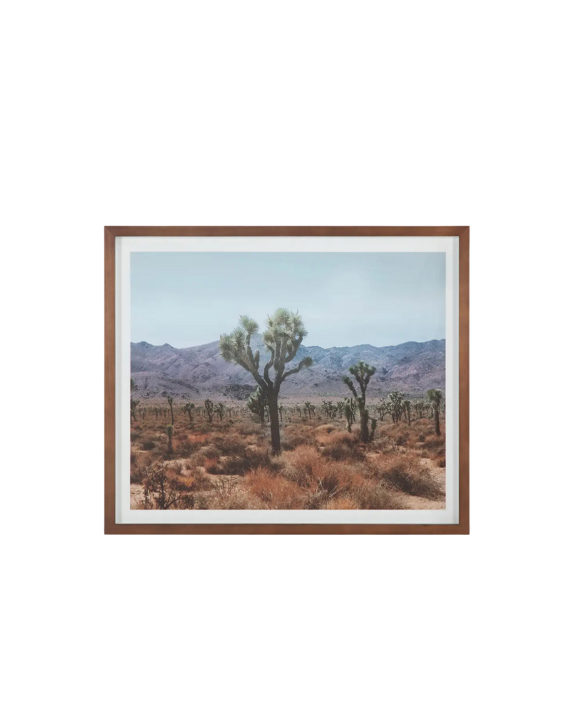 Desert Art - Whats New Furniture DESERT LAND ART Whats New Furniture Framed / 25.5" x 21.5" / New